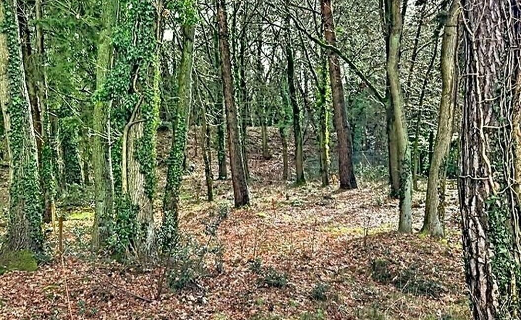 Bouwgrond te koop in Grobbendonk