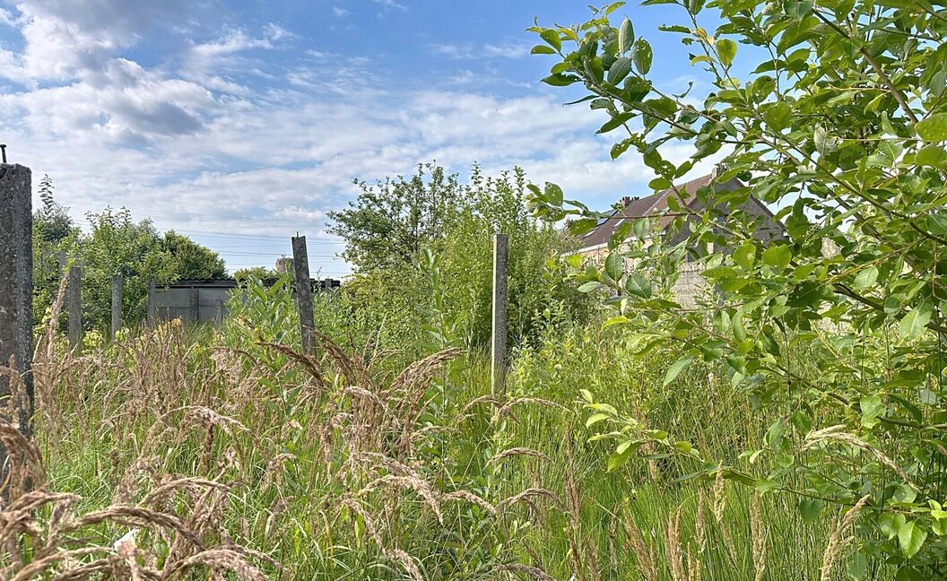 Huis te koop in Schelle